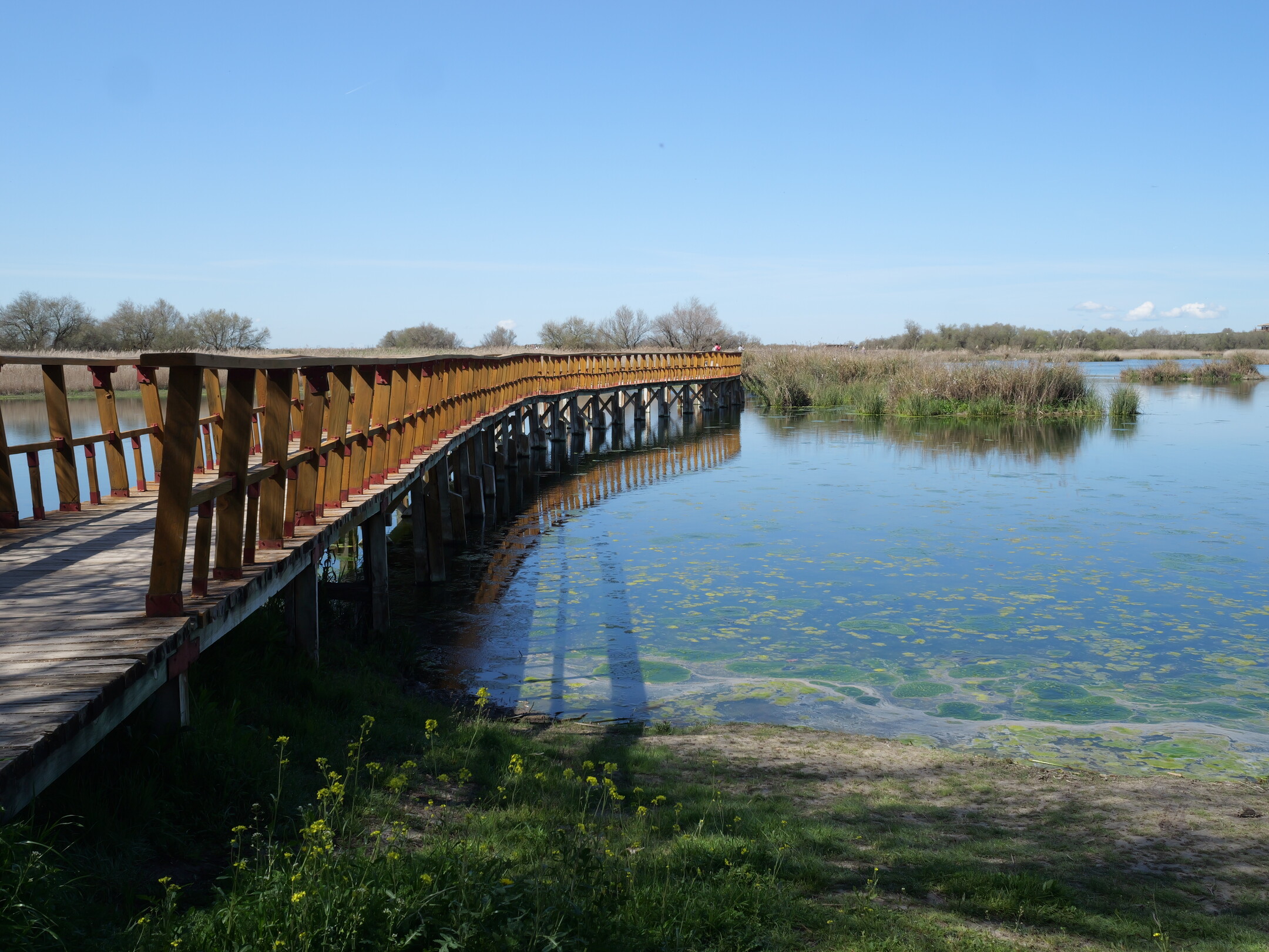Las Tablas de Daimiel en la primavera de 2025