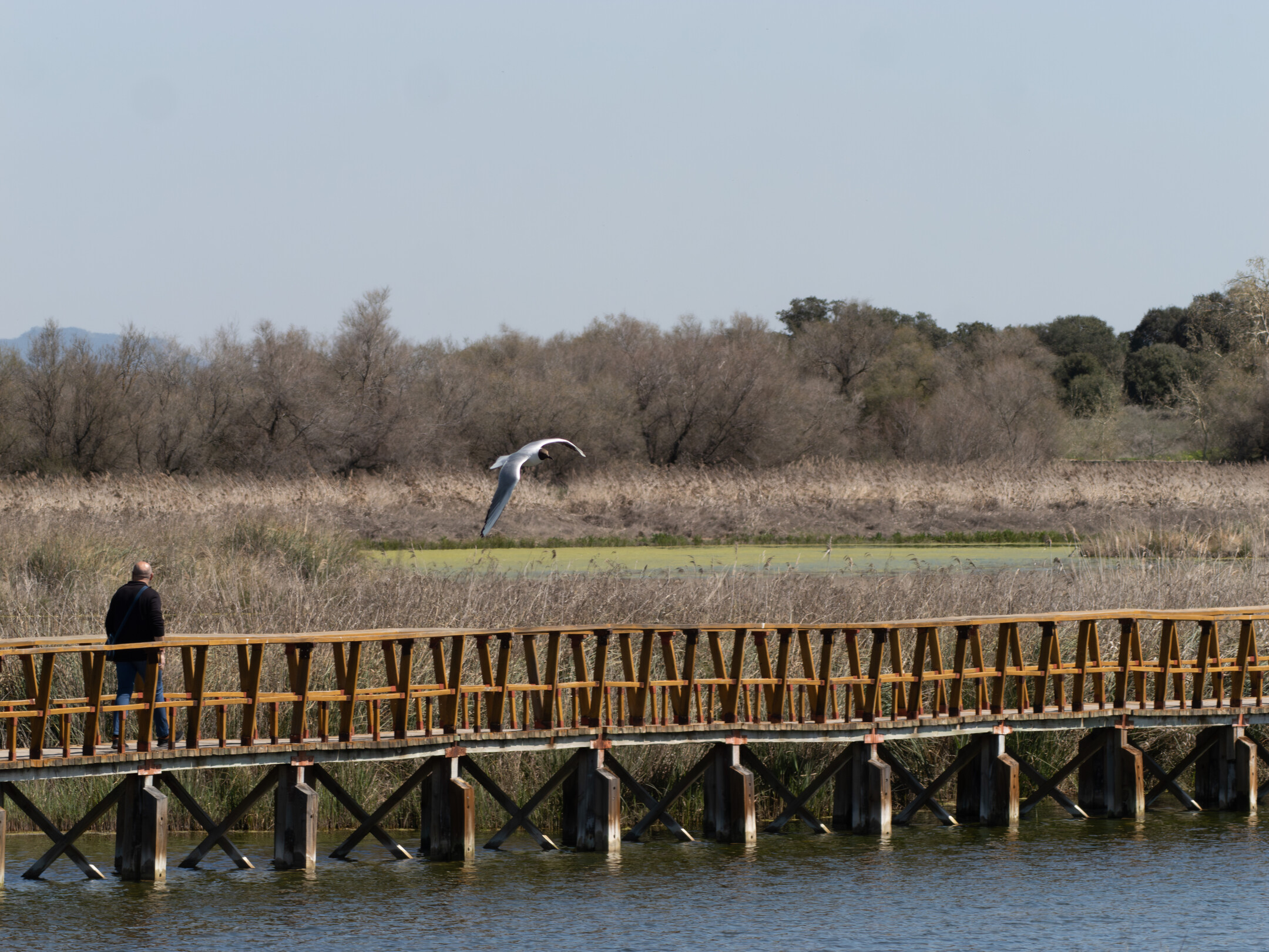 Las Tablas de Daimiel en la primavera de 2025
