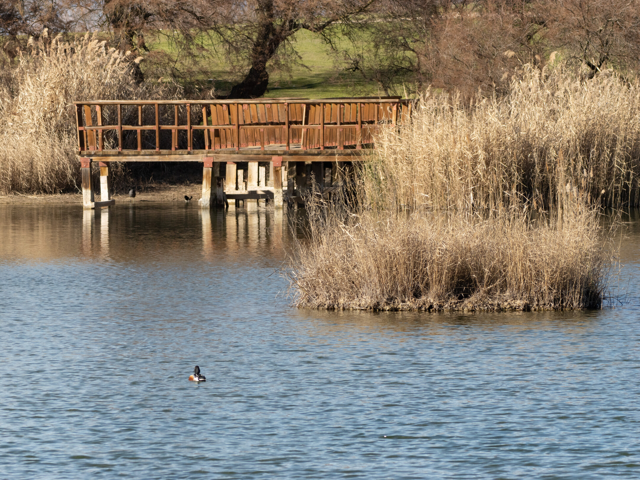 Las Tablas de Daimiel en la primavera de 2025