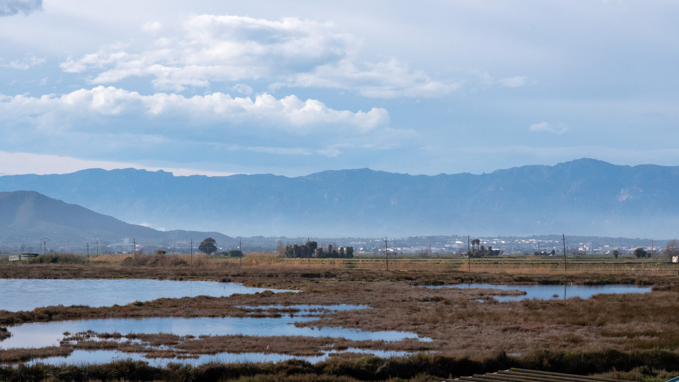 Laguna de la Encanyissada en el Delta del Ebro