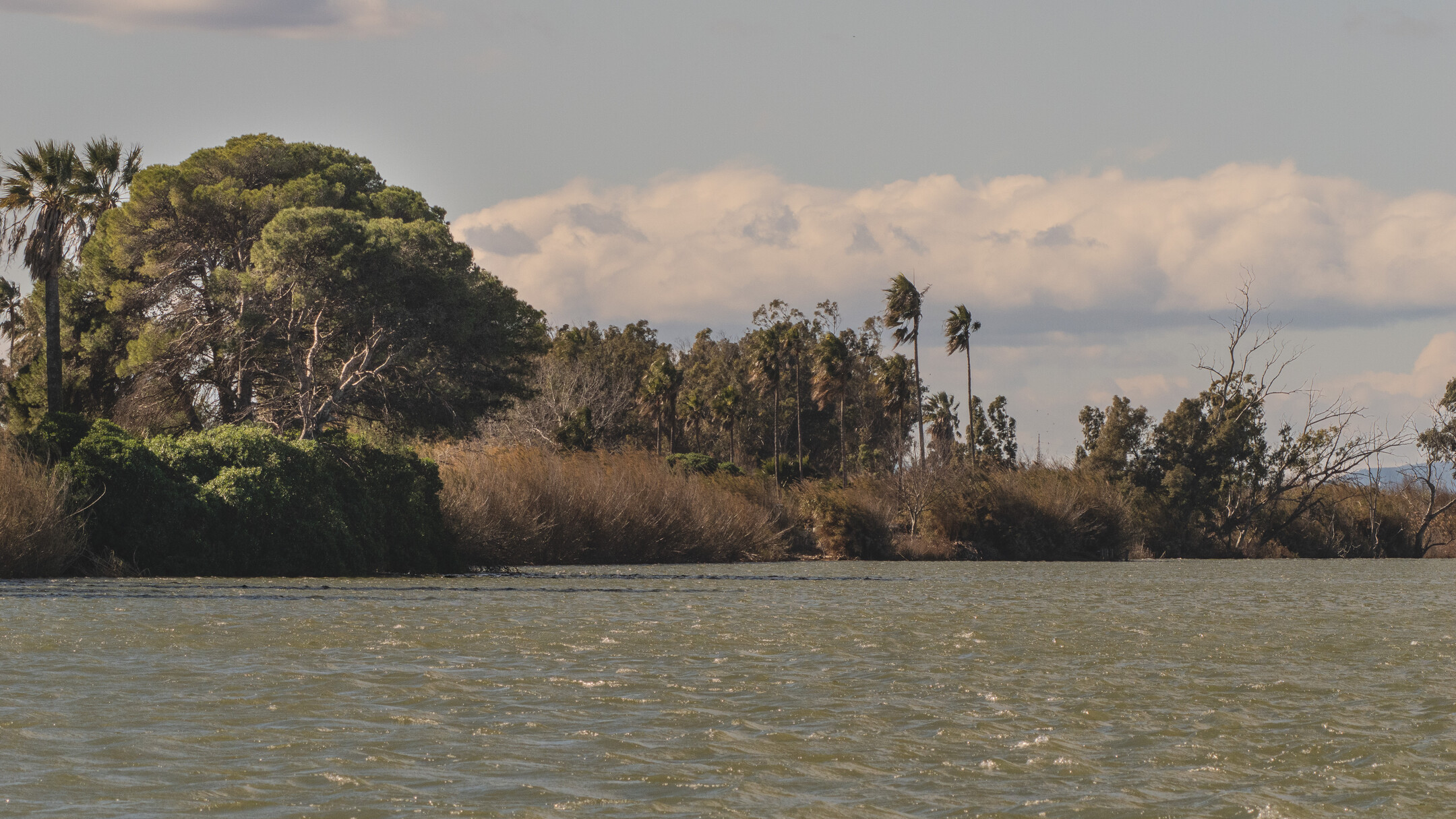 La Isla de Buda en el Delta del Ebro