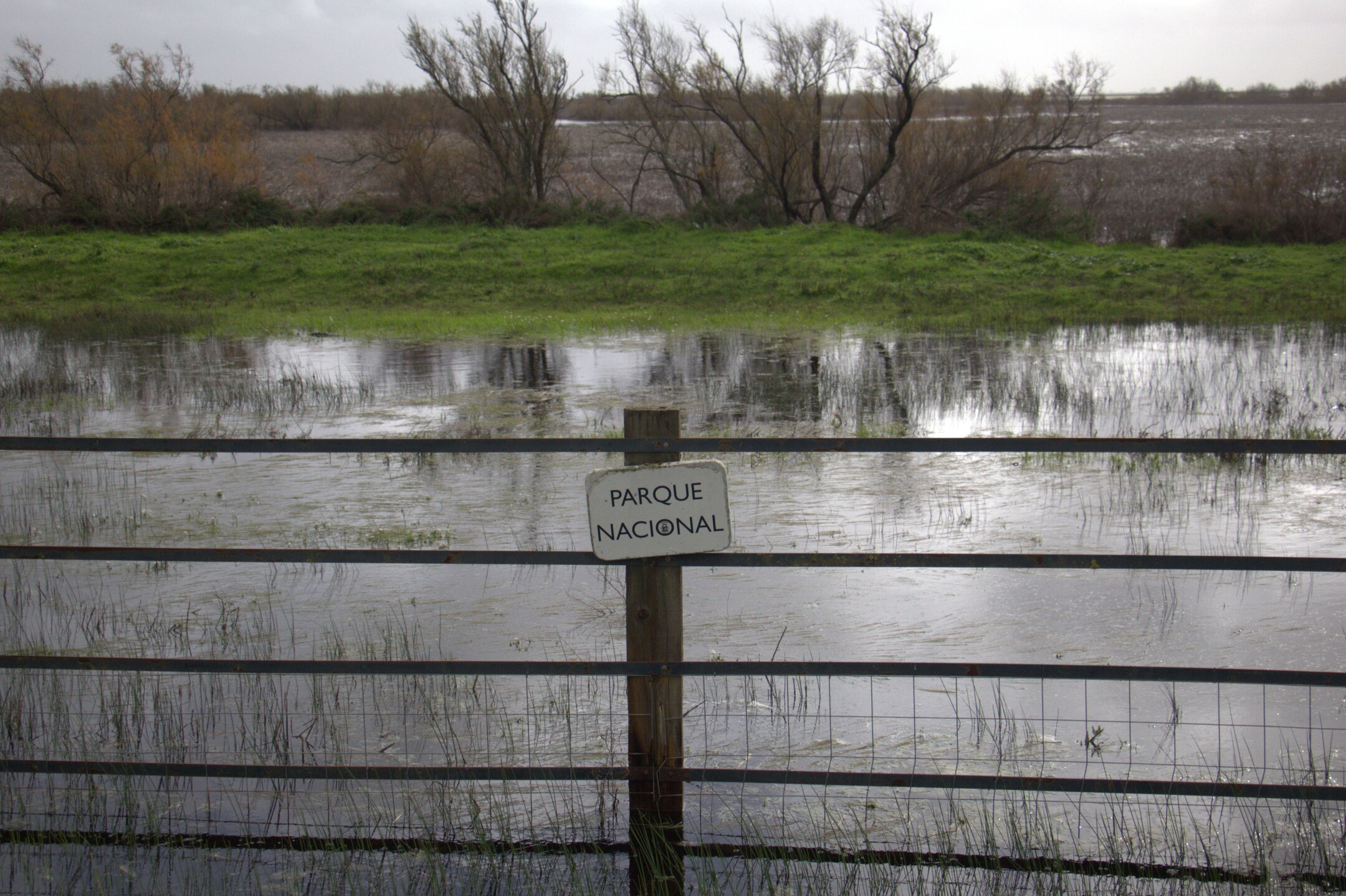 Marismas de Doñana
