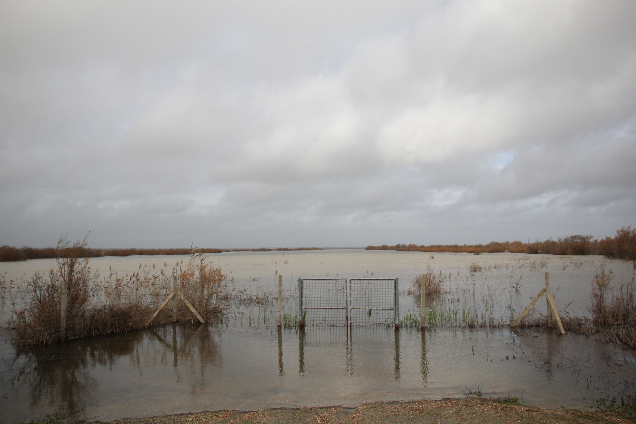 Marismas de Doñana