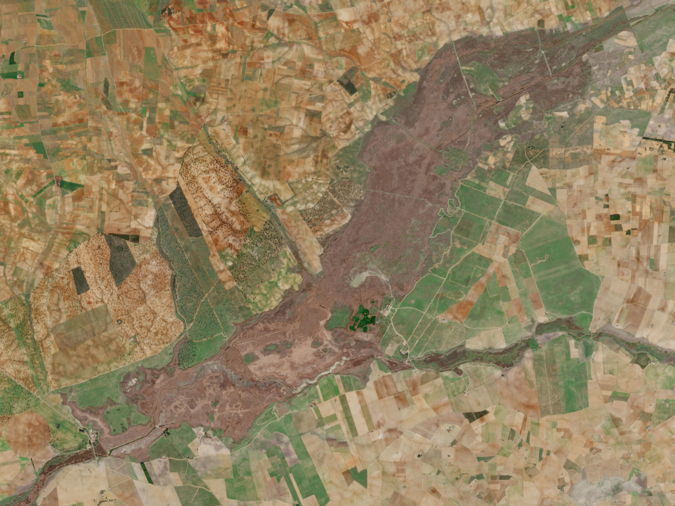 Las Tablas de Daimiel en diciembre de 2023