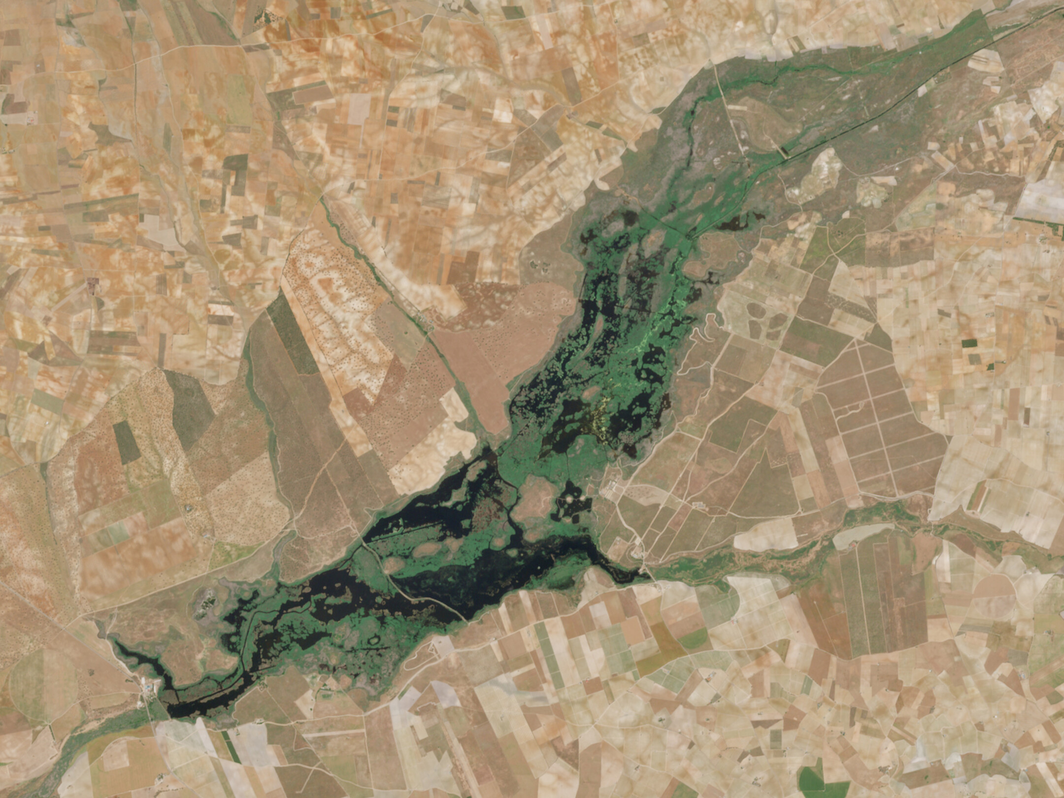 Las Tablas de Daimiel en mayo de 2025
