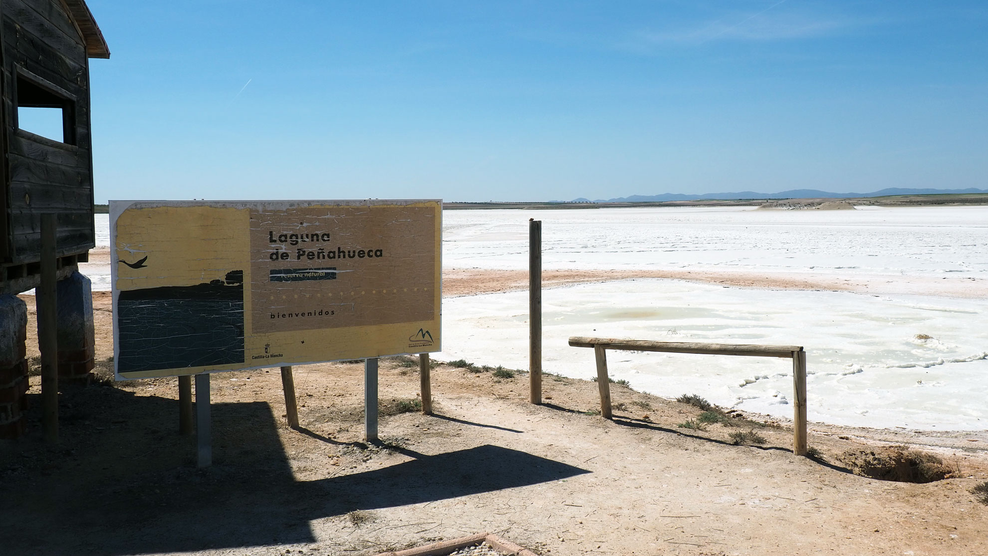 Humedal salino de la laguna de Peñahueca en Villacañas (Toledo)